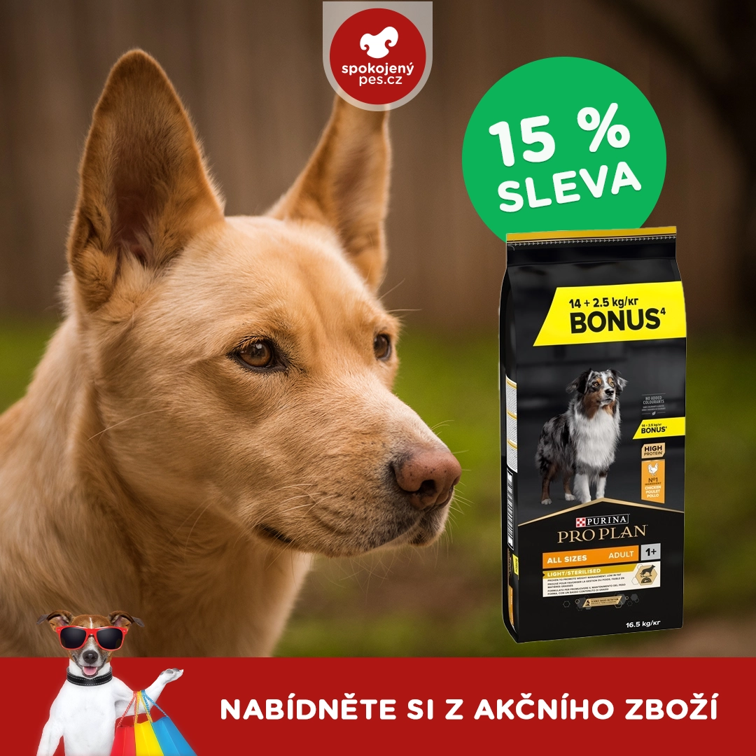 dog proplan.webp